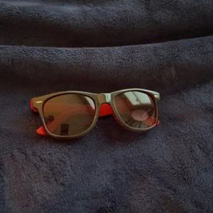 The University of Tampa sunglasses